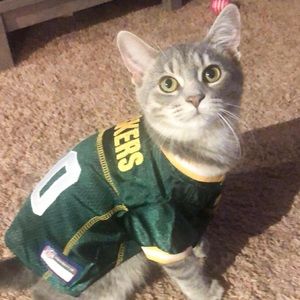 Meet your Posher, Alexandrea